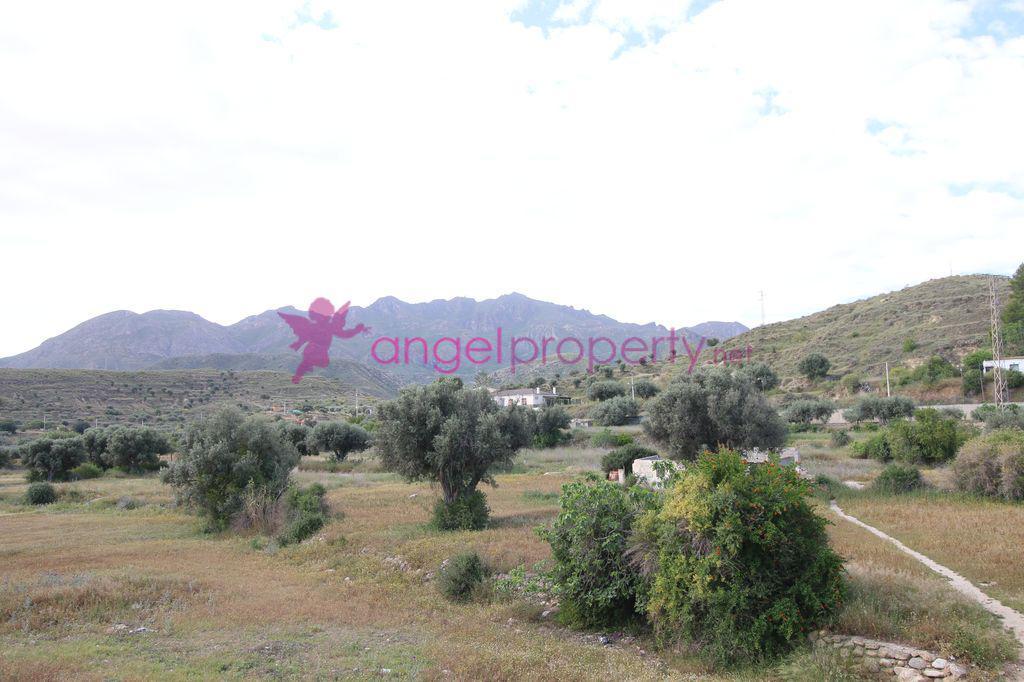 House for sale in Turre