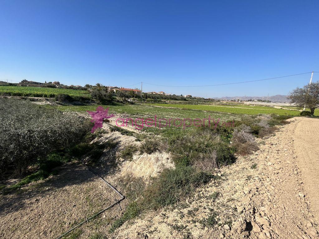 Casa en venta en La Muleria-Burjulú-Herrerías (Cuevas del Almanzora)